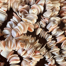 Load image into Gallery viewer, Pink, Shells, Cowries, Multicoloured, Worldwide, Brown, Strand, Seashell, Necklace, Bracelet, Earrings, Shards, Collection, Suncatchers, Bead Curtains, Key Rings, Red-Lip Mussel, Naga Shells, 1100