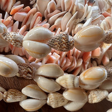 Load image into Gallery viewer, Pink, Shells, Cowries, Multicoloured, Worldwide, Brown, Strand, Seashell, Necklace, Bracelet, Earrings, Shards, Collection, Suncatchers, Bead Curtains, Key Rings, Red-Lip Mussel, Naga Shells, 1100