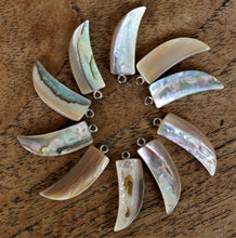 Load image into Gallery viewer, Trochus Shell, Claw Daggers, Dog Tags, Plates, Name Tags, Axe Heads, Machetes, Love Hearts, Yokes, Drops, Tears, Tiles, Ovals, Shields, Donuts, Shards, Claws, Shields, Buttons, Teardrops, Raindrops, Mother of Pearl Shell, MOP, White, Gold, Pink, Brown, Black, Green, Rain, Abalone, Green Abalone, Trochus, Cowrie Shell, Green Lip Mussel, Pink Lip Mussel, Paua Shell, Necklace, Earrings, Jewellery, West Australia, Black Abalone, Beader, Artisans, Jewellery-Making, Key Rings, Beads, Rings,