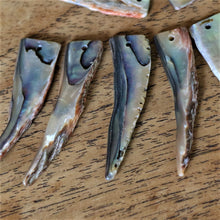 Load image into Gallery viewer, Brown Abalone, Plates, Name Tags, Axe Heads, Machetes, Love Hearts, Yokes, Drops, Tears, Tiles, Ovals, Shields, Donuts, Shards, Claws, Shields, Buttons, Teardrops, Raindrops, Mother of Pearl Shell, MOP, White, Gold, Pink, Brown, Black, Green, Rain, Abalone, Green Abalone, Trochus, Cowrie Shell, Green Lip Mussel, Pink Lip Mussel, Paua Shell, Necklace, Earrings, Jewellery, West Australia, Black Abalone, Beader, Artisans, Jewellery-Making, Key Rings, Beads, Rings, North Western Australia, North,