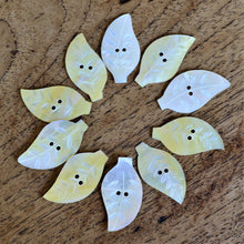 Load image into Gallery viewer, White MOP, Dog Tags, Plates, Name Tags, Axe Heads, Machetes, Love Hearts, Yokes, Drops, Tears, Tiles, Ovals, Shields, Donuts, Shards, Claws, Shields, Buttons, Teardrops, Raindrops, Mother of Pearl Shell, MOP, White, Gold, Pink, Brown, Black, Green, Rain, Abalone, Green Abalone, Trochus, Cowrie Shell, Green Lip Mussel, Pink Lip Mussel, Paua Shell, Necklace, Earrings, Jewellery, West Australia, Black Abalone, Beader, Artisans, Jewellery-Making, Key Rings, Beads, Rings, North Western Australia, North,