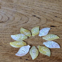 Load image into Gallery viewer, White MOP, Dog Tags, Plates, Name Tags, Axe Heads, Machetes, Love Hearts, Yokes, Drops, Tears, Tiles, Ovals, Shields, Donuts, Shards, Claws, Shields, Buttons, Teardrops, Raindrops, Mother of Pearl Shell, MOP, White, Gold, Pink, Brown, Black, Green, Rain, Abalone, Green Abalone, Trochus, Cowrie Shell, Green Lip Mussel, Pink Lip Mussel, Paua Shell, Necklace, Earrings, Jewellery, West Australia, Black Abalone, Beader, Artisans, Jewellery-Making, Key Rings, Beads, Rings, North Western Australia, North,