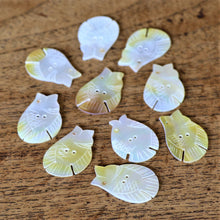 Load image into Gallery viewer, White MOP, Dog Tags, Plates, Name Tags, Axe Heads, Machetes, Love Hearts, Yokes, Drops, Tears, Tiles, Ovals, Shields, Donuts, Shards, Claws, Shields, Buttons, Teardrops, Raindrops, Mother of Pearl Shell, MOP, White, Gold, Pink, Brown, Black, Green, Rain, Abalone, Green Abalone, Trochus, Cowrie Shell, Green Lip Mussel, Pink Lip Mussel, Paua Shell, Necklace, Earrings, Jewellery, West Australia, Black Abalone, Beader, Artisans, Jewellery-Making, Key Rings, Beads, Rings, North Western Australia, North,
