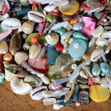 Load image into Gallery viewer, Shells, Mother of Pearl, MOP, Black, Pink, Brown, White, Pink, Red, Green, Yellow, Aqua, Beige, Green, Pucca, Cowries, Branch Coral, Trochus, Abalone, Mussel, Cockle, Nasa Shells, Beach Shells, Hand Carved, Cat, Fish, Birds, Blister Pearl, Fish Bone Vertebrae, Clam Shells, Dyed, Slabs, Jewellery, Necklaces, Bracelets, Earrings, Freshwater Pearls, Snail Shell, Sliced Cowries, Buttons, Pau Shell, Pendants, Jewellery, Necklaces, Bracelets, Earrings, Suncatchers, Bead Curtains, Key Rings,