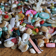 Load image into Gallery viewer, Shells, Mother of Pearl, MOP, Black, Pink, Brown, White, Pink, Red, Green, Yellow, Aqua, Beige, Green, Pucca, Cowries, Branch Coral, Trochus, Abalone, Mussel, Cockle, Nasa Shells, Beach Shells, Hand Carved, Cat, Fish, Birds, Blister Pearl, Fish Bone Vertebrae, Clam Shells, Dyed, Slabs, Jewellery, Necklaces, Bracelets, Earrings, Freshwater Pearls, Snail Shell, Sliced Cowries, Buttons, Pau Shell, Pendants, Jewellery, Necklaces, Bracelets, Earrings, Suncatchers, Bead Curtains, Key Rings,