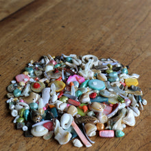 Load image into Gallery viewer, Shells, Mother of Pearl, MOP, Black, Pink, Brown, White, Pink, Red, Green, Yellow, Aqua, Beige, Green, Pucca, Cowries, Branch Coral, Trochus, Abalone, Mussel, Cockle, Nasa Shells, Beach Shells, Hand Carved, Cat, Fish, Birds, Blister Pearl, Fish Bone Vertebrae, Clam Shells, Dyed, Slabs, Jewellery, Necklaces, Bracelets, Earrings, Freshwater Pearls, Snail Shell, Sliced Cowries, Buttons, Pau Shell, Pendants, Jewellery, Necklaces, Bracelets, Earrings, Suncatchers, Bead Curtains, Key Rings,