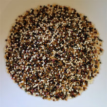 Load image into Gallery viewer, Two-Tone, Seed, Bead, Mixed, Mix, Collection, Czech, Glazed, Pearl, Seeds, Rocailles, Seed Beads, Opaque, Iridescent, Metallic, Iris, Silver Lined, Translucent, Matt, Lustre, Satin, Tigertail, Leather, Craftline, Cotton Bead Thread, Fishing Line, Brown, Sepia, Chocolate, Ivory, White, Black, Topaz, Caramel, Beige, Gold, Tawny, Chestnut, Clear AB, Mixed, Jewellery-Making, Europe, Little Stones, Glass, Embroidery, Bracelet, Necklace, Earrings, Clothing, Jewellery, Bread, Butter, Fabric,