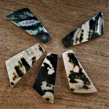 Load image into Gallery viewer, Black Abalone, Dog Tags, Plates, Name Tags, Axe Heads, Machetes, Love Hearts, Yokes, Drops, Tears, Tiles, Ovals, Shields, Donuts, Shards, Claws, Shields, Buttons, Teardrops, Raindrops, Mother of Pearl Shell, MOP, White, Gold, Pink, Brown, Black, Green, Rain, Abalone, Green Abalone, Trochus, Cowrie Shell, Green Lip Mussel, Pink Lip Mussel, Pau Shell, Necklace, Earrings, Jewellery, West Australia, Black Abalone, Beader, Artisans, Jewellery-Making, Key Rings, Beads, Rings, North Western Australia,