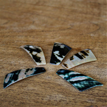 Load image into Gallery viewer, Black Abalone, Dog Tags, Plates, Name Tags, Axe Heads, Machetes, Love Hearts, Yokes, Drops, Tears, Tiles, Ovals, Shields, Donuts, Shards, Claws, Shields, Buttons, Teardrops, Raindrops, Mother of Pearl Shell, MOP, White, Gold, Pink, Brown, Black, Green, Rain, Abalone, Green Abalone, Trochus, Cowrie Shell, Green Lip Mussel, Pink Lip Mussel, Pau Shell, Necklace, Earrings, Jewellery, West Australia, Black Abalone, Beader, Artisans, Jewellery-Making, Key Rings, Beads, Rings, North Western Australia,