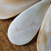 Load image into Gallery viewer, Pink Mother of Pearl, Dog Tags, Plates, Name Tags, Axe Heads, Machetes, Love Hearts, Yokes, Drops, Tears, Tiles, Shields, Donuts, Shards, Claws, Shields, Buttons, Teardrops, Raindrops, Mother of Pearl Shell, MOP, White, Gold, Pink, Brown, Black, Rain, Pau Shell, Abalone, Green Abalone, Trochus, Cowrie Shell, Green Lip Mussel, Pink Lip Mussel, Necklace, Earrings, Jewellery, West Australia, Black Abalone, Beader, Artisans, Jewellery-Making, Key Rings, Bead