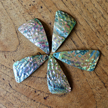 Load image into Gallery viewer, Paua Shell, Dog Tags, Plates, Name Tags, Axe Heads, Machetes, Love Hearts, Yokes, Drops, Tears, Tiles, Ovals, Shields, Donuts, Shards, Claws, Shields, Buttons, Teardrops, Raindrops, Mother of Pearl Shell, MOP, White, Gold, Pink, Brown, Black, Green, Rain, Abalone, Green Abalone, Trochus, Cowrie Shell, Green Lip Mussel, Pink Lip Mussel, Paua Shell, Necklace, Earrings, Jewellery, Black Abalone, Beader, Artisans, Jewellery-Making, Key Rings, Beads, Rings,