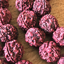 Load image into Gallery viewer, Rudraksha, Stones, Seeds, Pips, Rusty Brown, Nepal, Indonesia, India, Sri Lanka, Elaeocarpus Ganitrus, Trees, Fruit, Blue, Inedible, Mala, Spiritual, Prayer Beads, Ethnic, Tribal, Jewellery, Natural, Sikhs, Buddhists, Hindu, Lord Shiva,