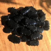 Load image into Gallery viewer, Black, Indian Glass, Mixed Shapes, Glass Beads, Canvas, Chunky Jewellery, Hanger, Hangings, Beetles, Diamonds, Hearts, Slabs, Flowers, Gourds, Swivel Twists, Cylinders, Tiles, Acrylic Paint, Oil Paint, Leather, Tigertail, Fishing Line, India, Paint Brush, Artists, Collection, Silver Foil,