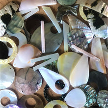 Load image into Gallery viewer, Shells, Mother of Pearl, MOP, Black, Pink, Brown, White, Pink, Red, Green, Yellow, Aqua, Beige, Green, Pucca, Cowries, Branch Coral, Trochus, Abalone Shell, Mussel Shell, Cockle Shell, Nasa Shells, Beach Shells, Hand Carved, Cat Shape, Fish Shape, Bird Shape, Blister Pearl, Fish Bone Vertebrae, Clam Shells, Dyed, Slabs, Jewellery, Necklaces, Bracelets, Earrings, Freshwater Pearls, Snail Shell, Sliced Cowries, Buttons, Pau Shell, Pendants, Jewellery, Necklaces, Bracelets, Earrings, Suncatchers,