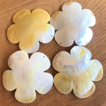 Load image into Gallery viewer, Gold Mother of Pearl, Dog Tags, Plates, Pendants, Name Tags, Axe Heads, Machetes, Love Hearts, Yokes, Drops, Tears, Tiles, Shields, Donuts, Shards, Claws, Shields, Buttons, Teardrops, Raindrops, Mother of Pearl Shell, MOP, White, Gold, Pink, Brown, Black, Pau Shell, Abalone, Green Abalone, Trochus, Cowrie Shell, Green Lip Mussel, Pink Lip Mussel, Necklace, Jewellery, West Australia, Black Abalone,