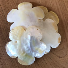 Load image into Gallery viewer, Gold Mother of Pearl, Dog Tags, Plates, Pendants, Name Tags, Axe Heads, Machetes, Love Hearts, Yokes, Drops, Tears, Tiles, Shields, Donuts, Shards, Claws, Shields, Buttons, Teardrops, Raindrops, Mother of Pearl Shell, MOP, White, Gold, Pink, Brown, Black, Pau Shell, Abalone, Green Abalone, Trochus, Cowrie Shell, Green Lip Mussel, Pink Lip Mussel, Necklace, Jewellery, West Australia, Black Abalone,