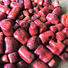 Load image into Gallery viewer, Coral, Knuckle Coral, Rare, Collectible, Seaside, Asia, Collection, Statement, Orange, Jewellery, Algerian, Onyx, White Metal, Sterling Silver, Topaz, Amber, Jet Black, Necklace, Bracelet, Earrings, Java,