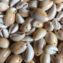 Load image into Gallery viewer, Cowrie, Shell, Beads, Seaside, Jewellery, Wind chimes, Two-Holes, Keyring, Necklaces, Bracelets, Philippines, Earrings, Necklaces, Bracelets,