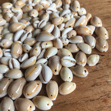 Load image into Gallery viewer, Cowrie, Shell, Beads, Seaside, Jewellery, Wind chimes, Two-Holes, Keyring, Necklaces, Bracelets, Philippines, Earrings, Necklaces, Bracelets,
