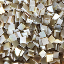 Load image into Gallery viewer, Mother of Pearl, Shell, West Australia, Tiles, Mosaic, Shells,