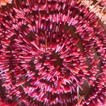 Load image into Gallery viewer, Pink, White, Orange, Red, Strand, Coral, Coral Shards, Shells, Seashell, Necklace, Bracelet, Earrings, Beads, Pendants, Shards, Collection, Bamboo, Shards, Ocean, Semi Precious, Shell, Natural, Worldwide,