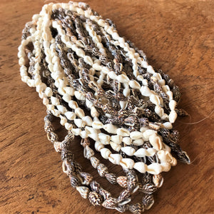 Beach, Shells, White, Mini Conch, Jewellery, Speckled, Earrings, Necklaces, Bracelets, Anklets, 800 Shells,  