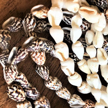 Load image into Gallery viewer, Beach, Shells, White, Mini Conch, Jewellery, Speckled, Earrings, Necklaces, Bracelets, Anklets, 800 Shells,  
