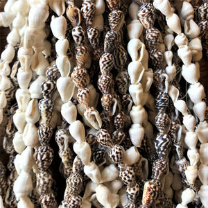 Beach, Shells, White, Mini Conch, Jewellery, Speckled, Earrings, Necklaces, Bracelets, Anklets, 800 Shells,  
