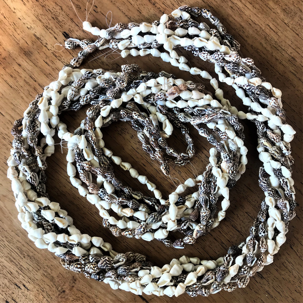 Beach, Shells, White, Mini Conch, Jewellery, Speckled, Earrings, Necklaces, Bracelets, Anklets, 800 Shells,  