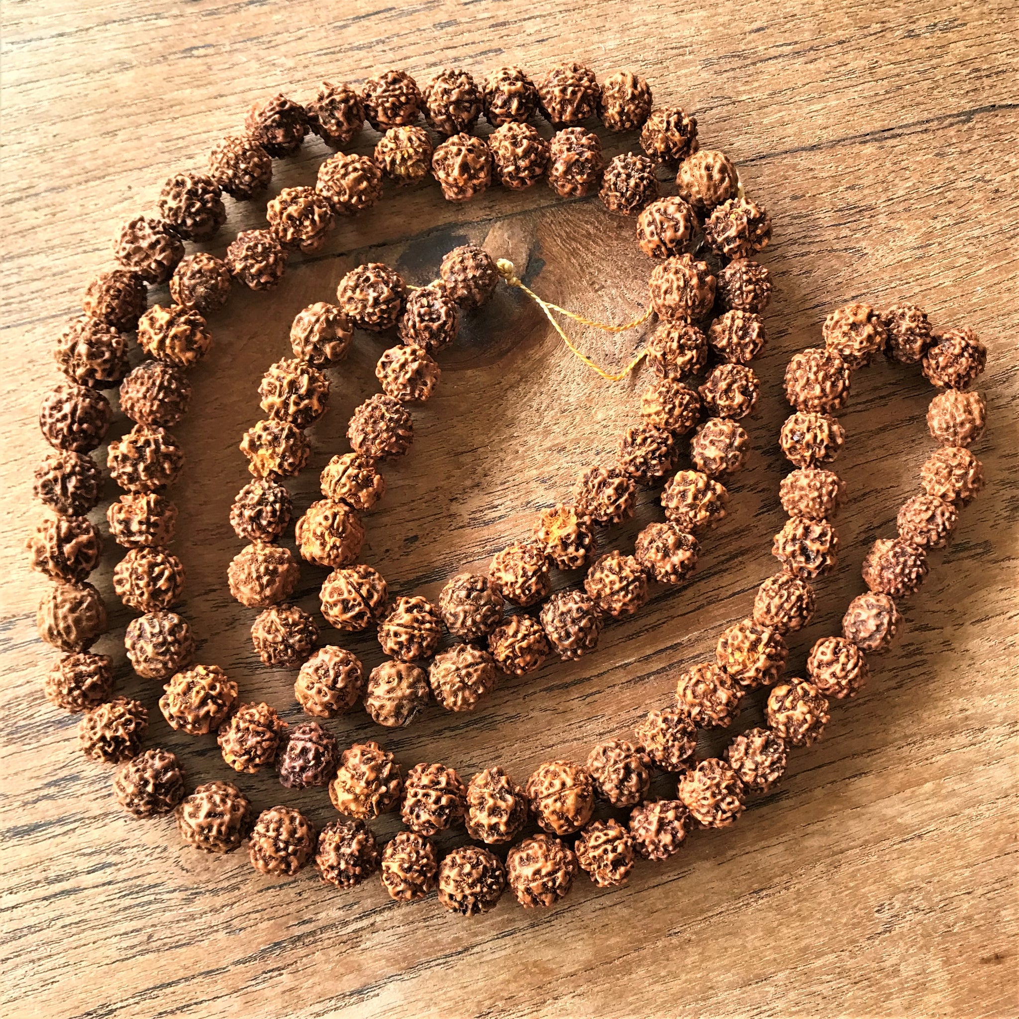 56” - 15mm Rudraksha Mala Strands – 108 Hindu Prayer Beads [RAD-3