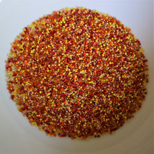 Load image into Gallery viewer, 200g - Mixed – ‘Orange Glow’ Glass Size 5/0 Seed Bead Collection
