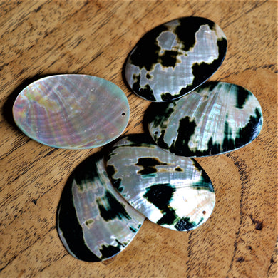 Green Abalone, Dog Tags, Plates, Name Tags, Axe Heads, Machetes, Love Hearts, Yokes, Drops, Tears, Tiles, Ovals, Shields, Donuts, Shards, Claws, Shields, Buttons, Teardrops, Raindrops, Mother of Pearl Shell, MOP, White, Gold, Pink, Brown, Black, Green, Rain, Abalone, Green Abalone, Trochus, Cowrie Shell, Green Lip Mussel, Pink Lip Mussel, Pau Shell, Necklace, Earrings, Jewellery, West Australia, Black Abalone, Beader, Artisans, Jewellery-Making, Key Rings, Beads, 