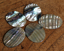 Load image into Gallery viewer, Green Abalone, Dog Tags, Plates, Name Tags, Axe Heads, Machetes, Love Hearts, Yokes, Drops, Tears, Tiles, Ovals, Shields, Donuts, Shards, Claws, Shields, Buttons, Teardrops, Raindrops, Mother of Pearl Shell, MOP, White, Gold, Pink, Brown, Black, Green, Rain, Abalone, Green Abalone, Trochus, Cowrie Shell, Green Lip Mussel, Pink Lip Mussel, Pau Shell, Necklace, Earrings, Jewellery, West Australia, Black Abalone, Beader, Artisans, Jewellery-Making, Key Rings, Beads, 
