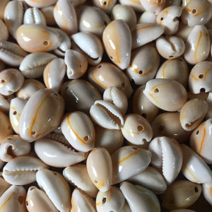 50 PIECES PACK' WHITE COWRIE SHELLS DRILLED DOUBLE HOLE – Madeinindia Beads